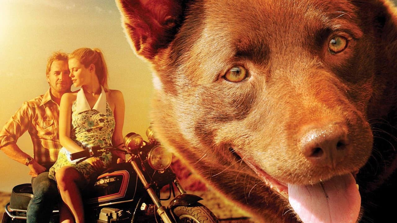Szene aus Red Dog