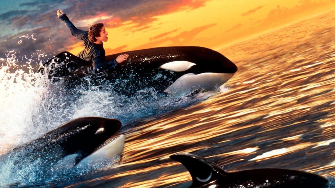 Szene aus Free Willy 2 - Freiheit in Gefahr