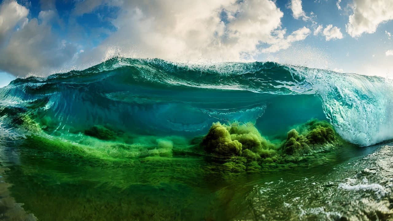 Szene aus Shorebreak - Die perfekte Welle