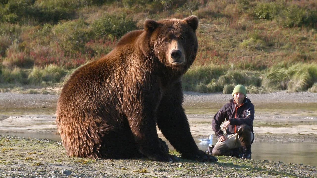 Szene aus Der Bär in mir