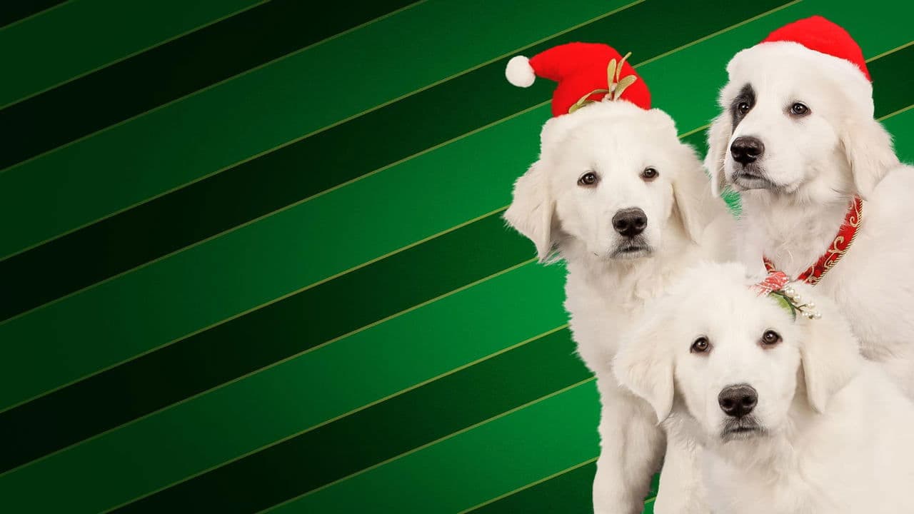 Szene aus Santa Buddies - Auf der Suche nach Santa Pfote