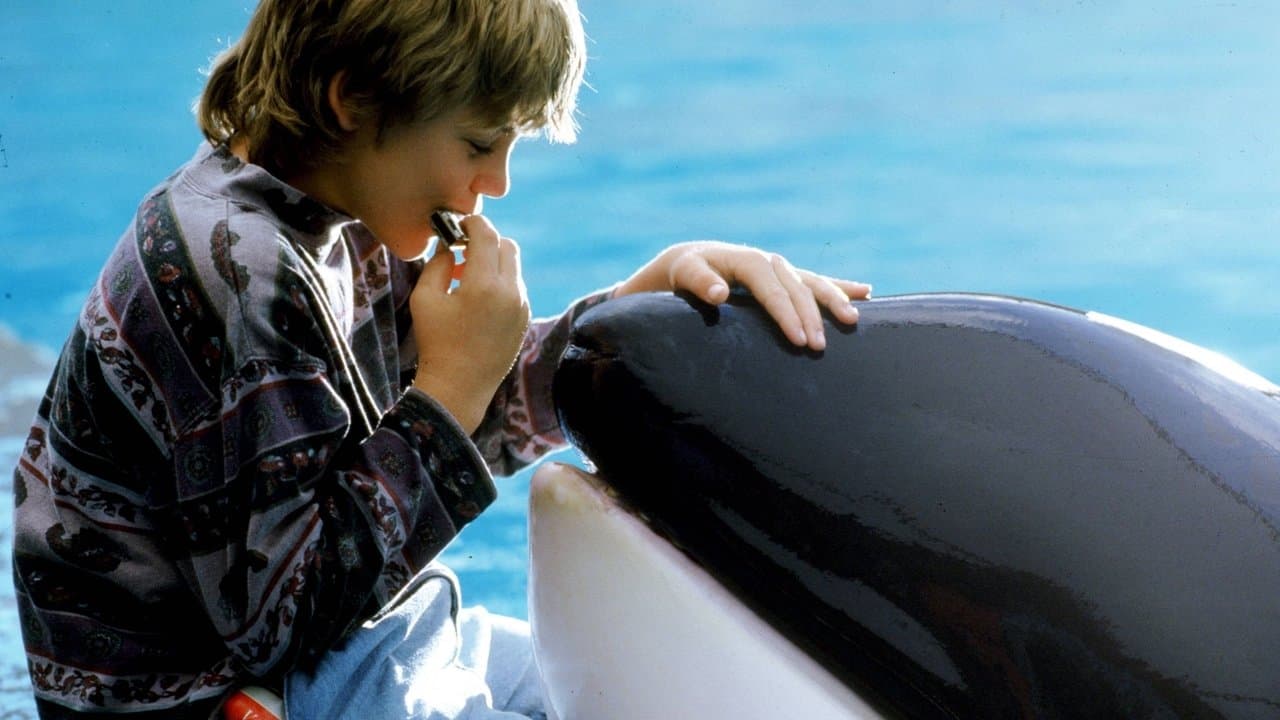 Szene aus Free Willy - Ruf der Freiheit