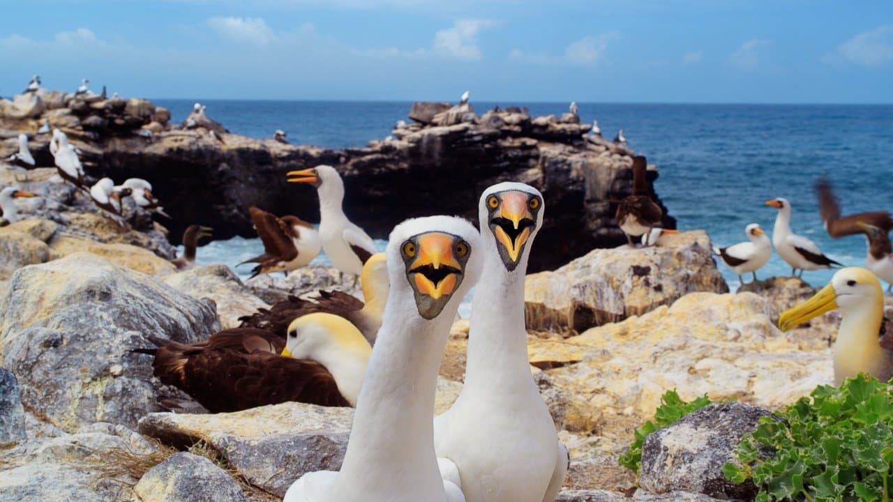 Szene aus Galapagos 3D with David Attenborough