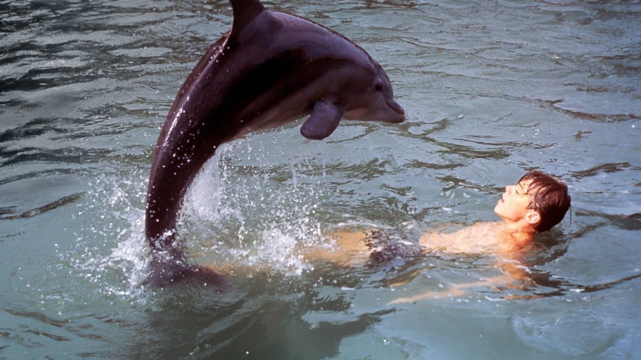 Szene aus Neues Abenteuer mit Flipper