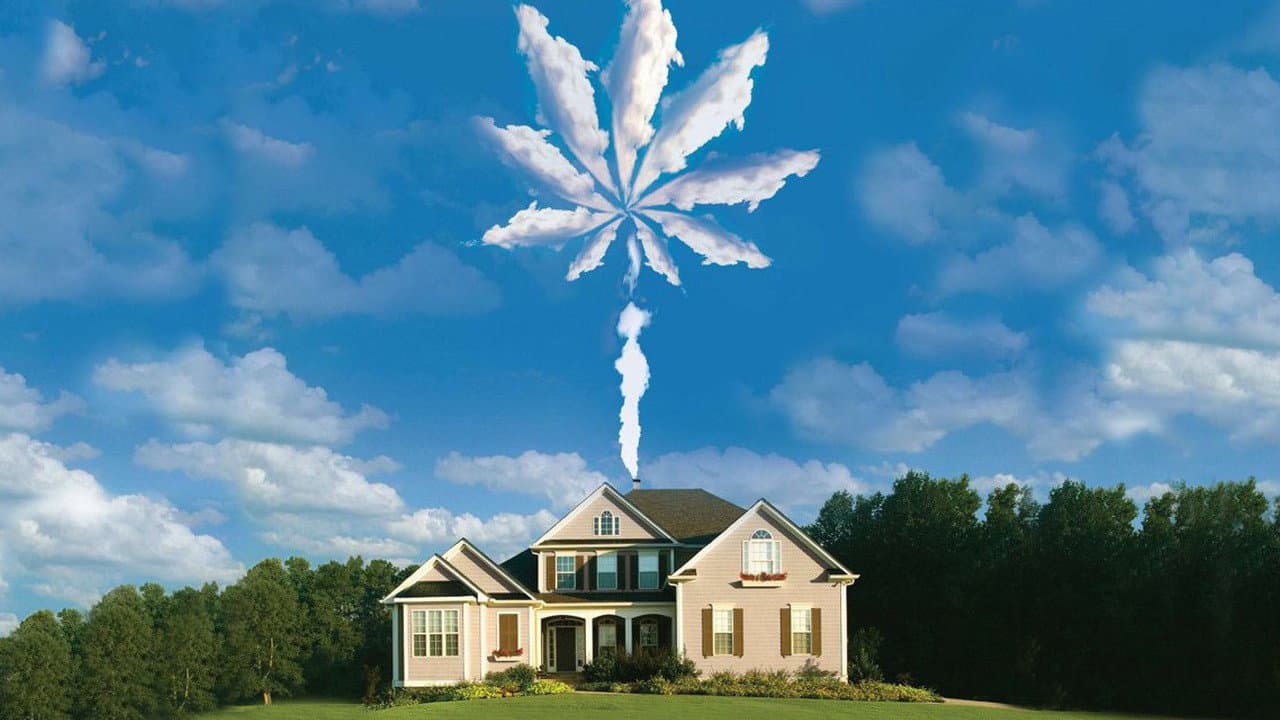 Szene aus Operation Marijuana