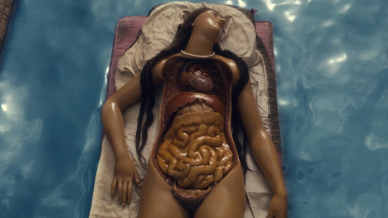 Szene aus Four Unloved Women, Adrift on a Purposeless Sea, Experience the Ecstasy of Dissection
