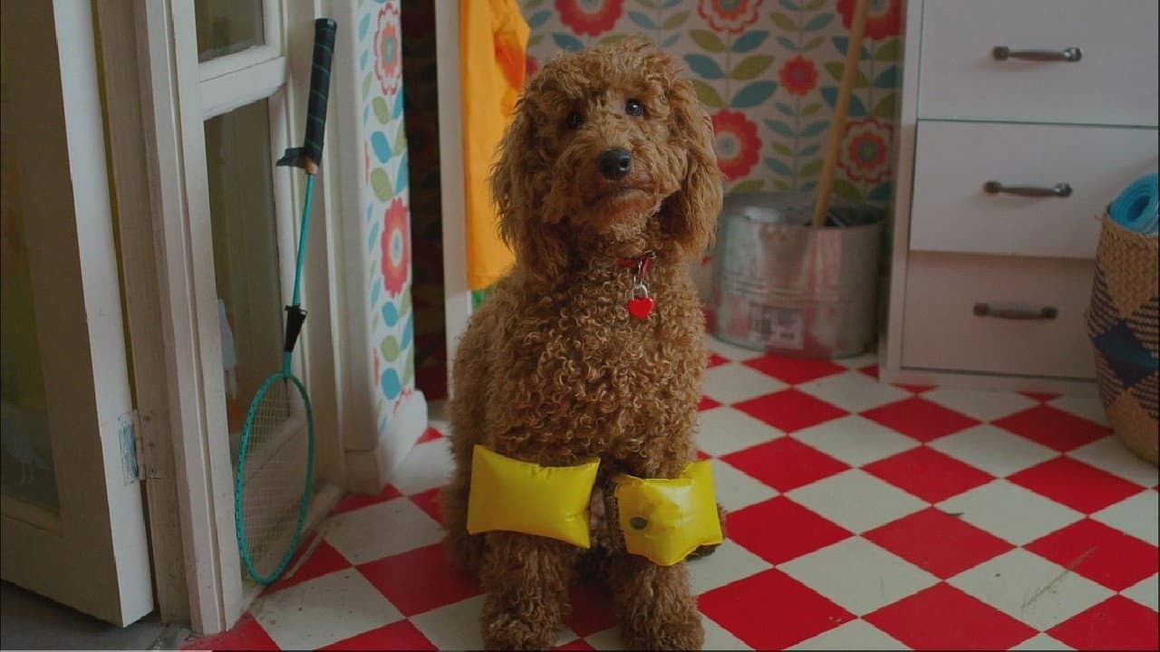 Szene aus Wuffel, der Wunderhund