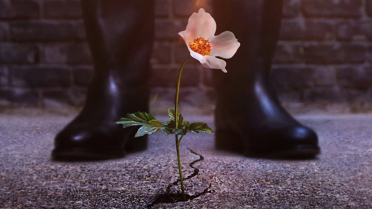 Szene aus The Man in the High Castle