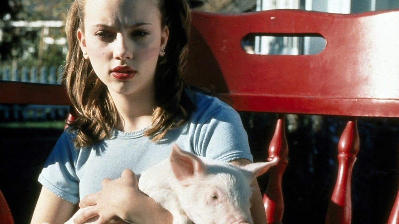 Szene aus Immer Ärger mit Schweinchen George