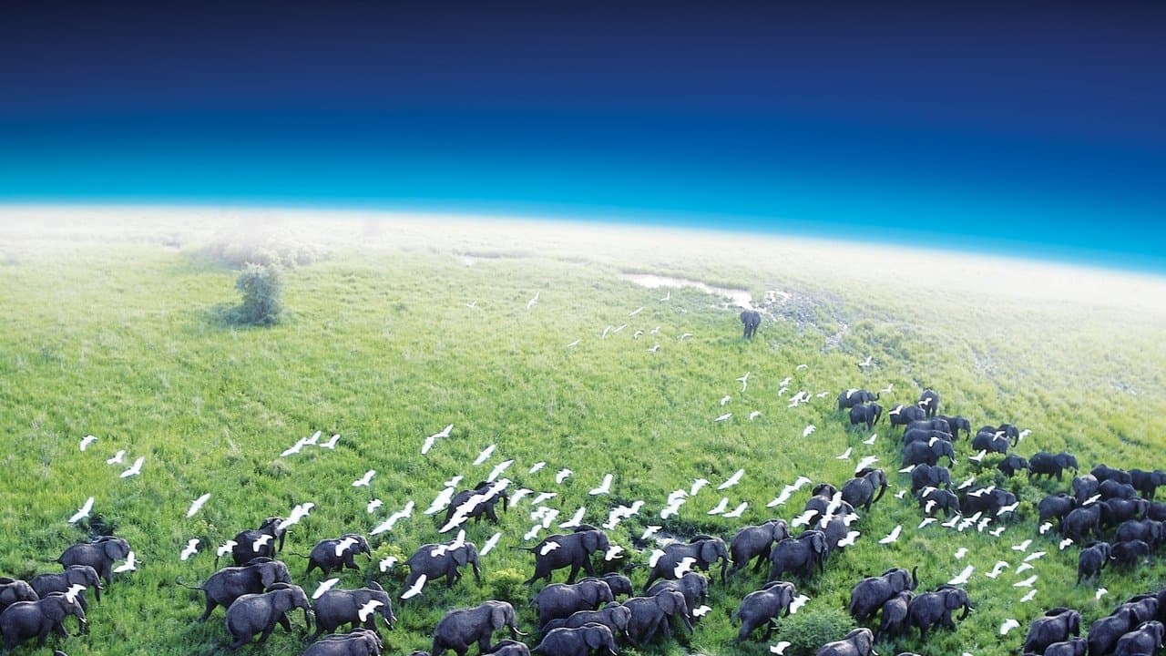 Szene aus Planet Erde