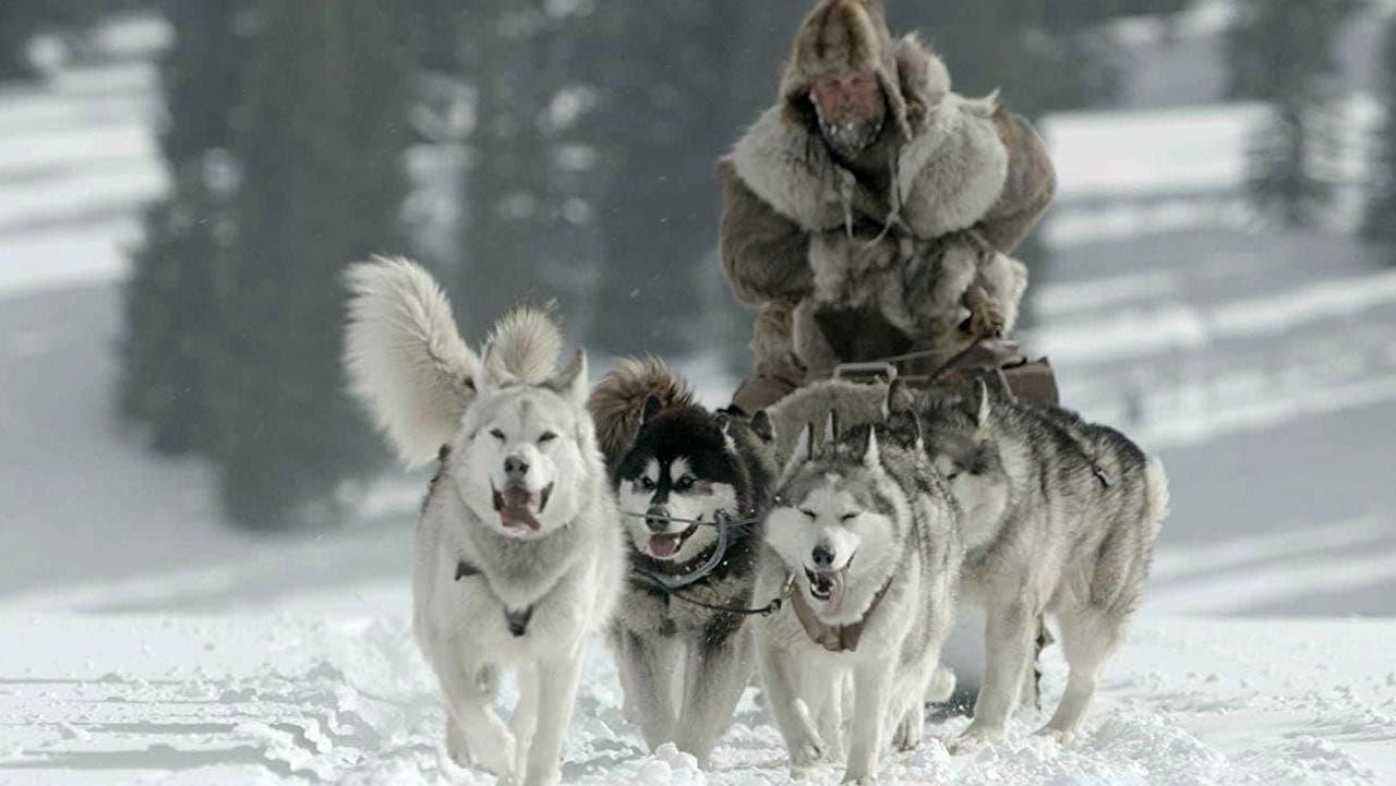 Szene aus The Great Alaskan Race - Helden auf vier Pfoten