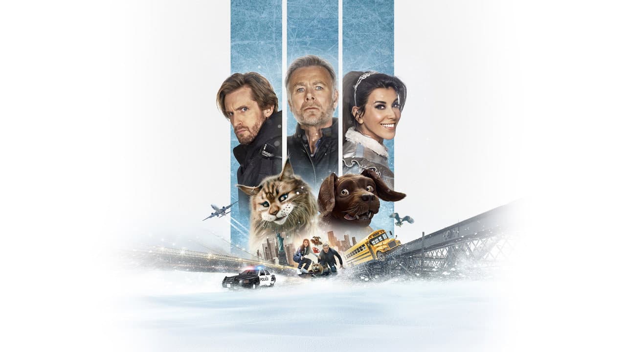 Szene aus Miau & Wau