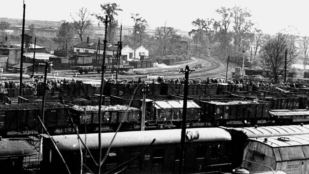 Szene aus Vernichtung im Laufschritt – Todesmärsche 1944/45