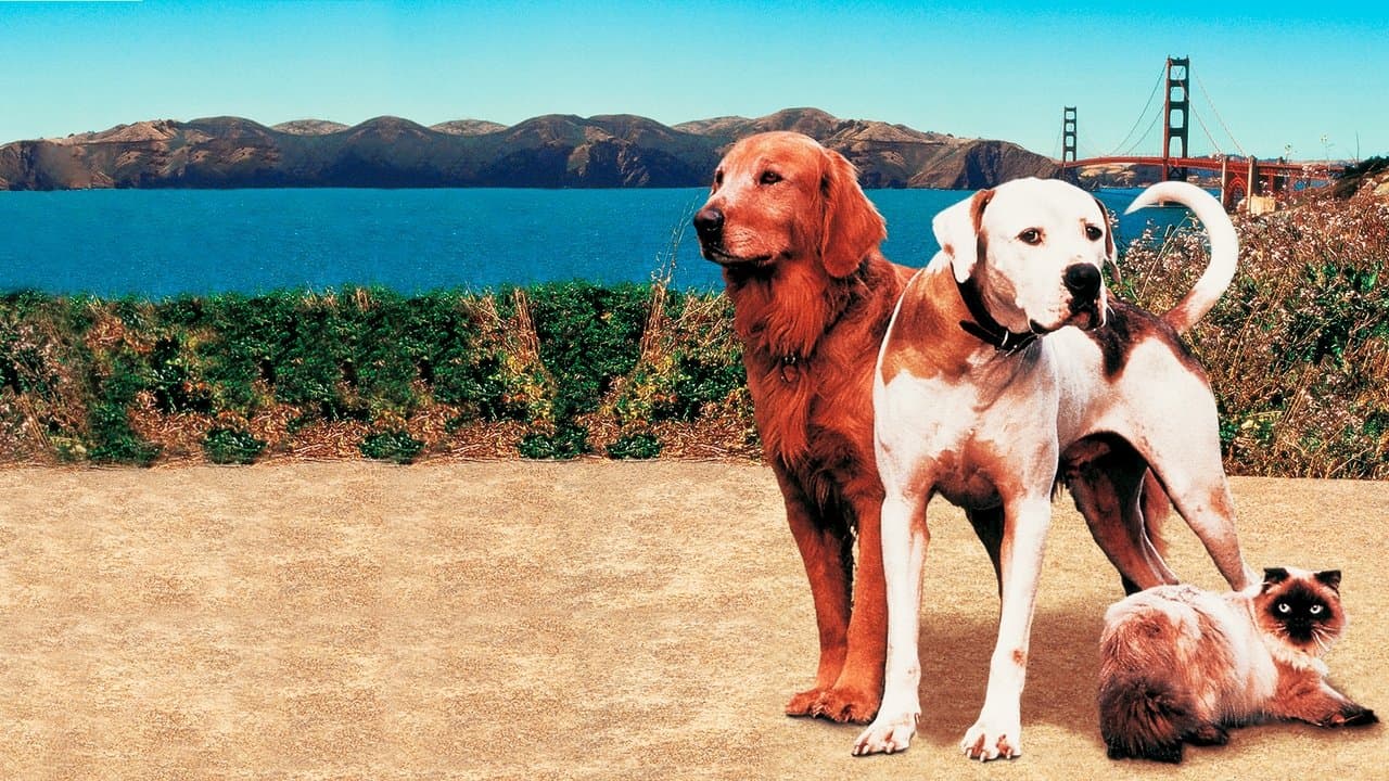 Szene aus Ein tierisches Trio - Wieder unterwegs