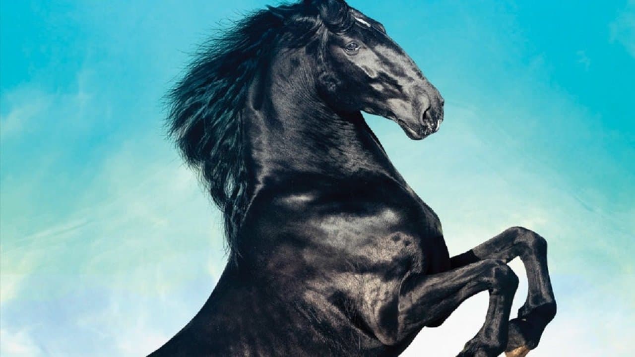 Szene aus Black Beauty