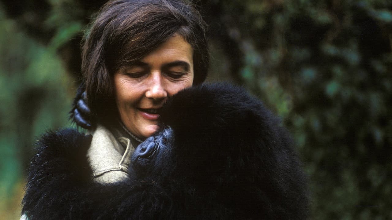 Szene aus Dian Fossey: Geheimnisse im Nebel