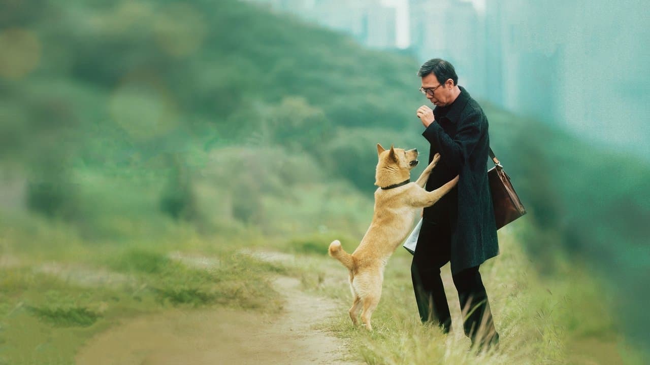 Szene aus Hachiko - Eine Freundschaft für die Ewigkeit