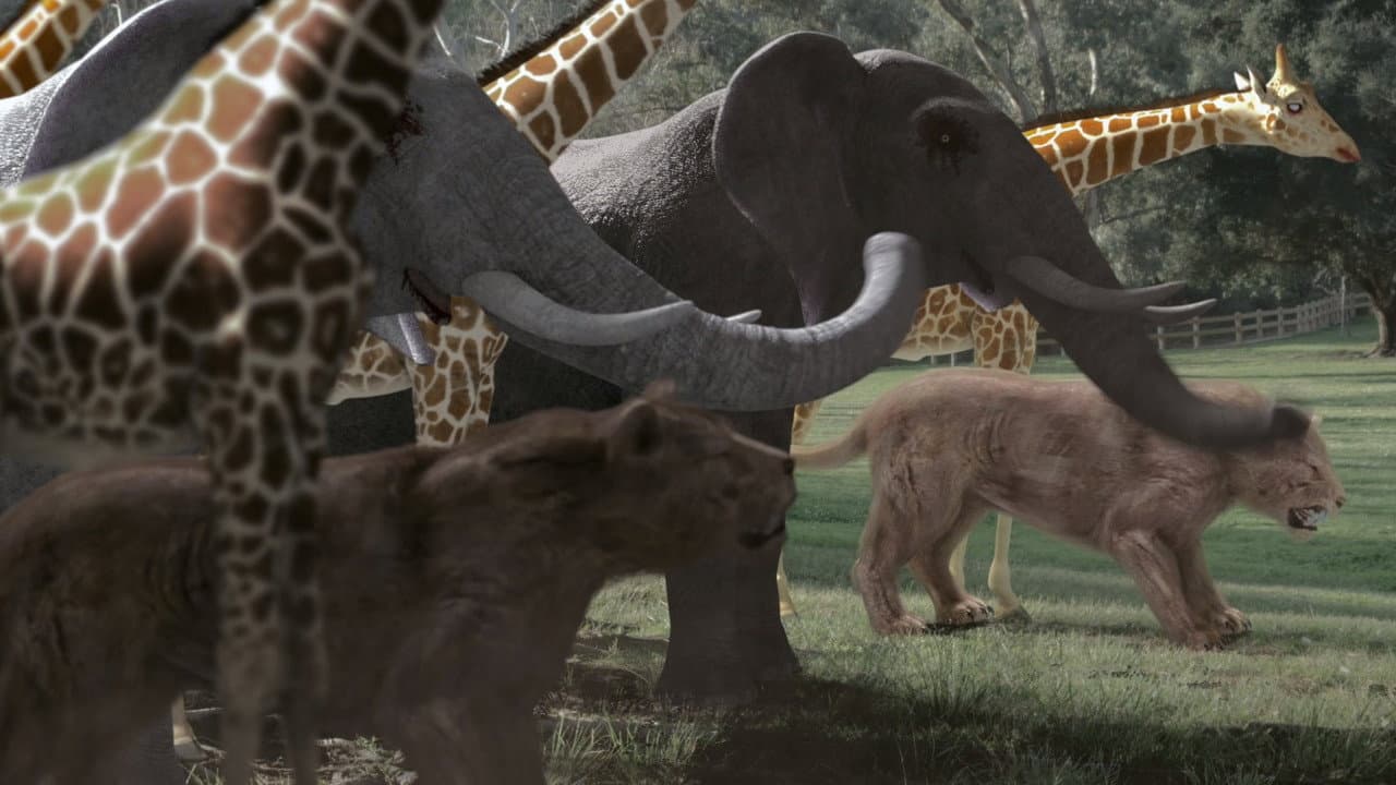 Szene aus Zoombies 2