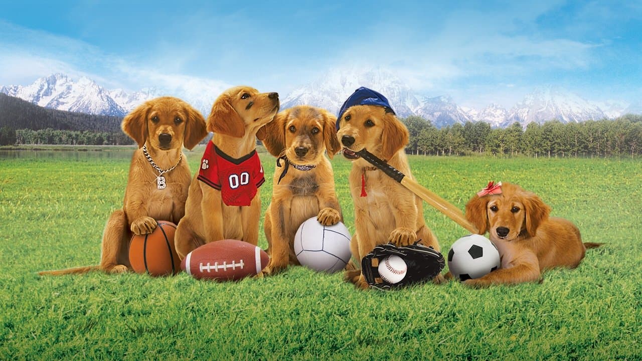 Szene aus Air Buddies - Die Welpen sind los