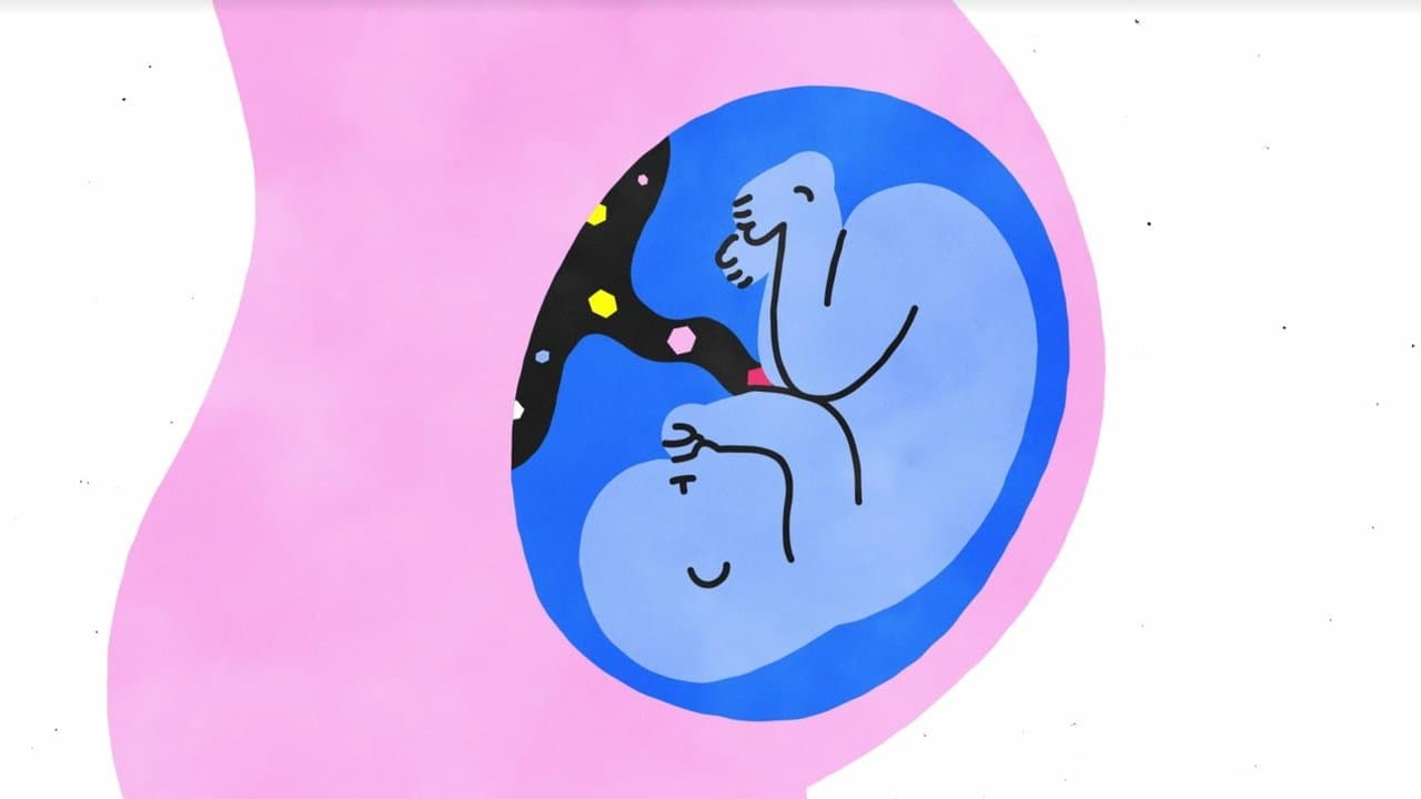 Szene aus Sex, Explained