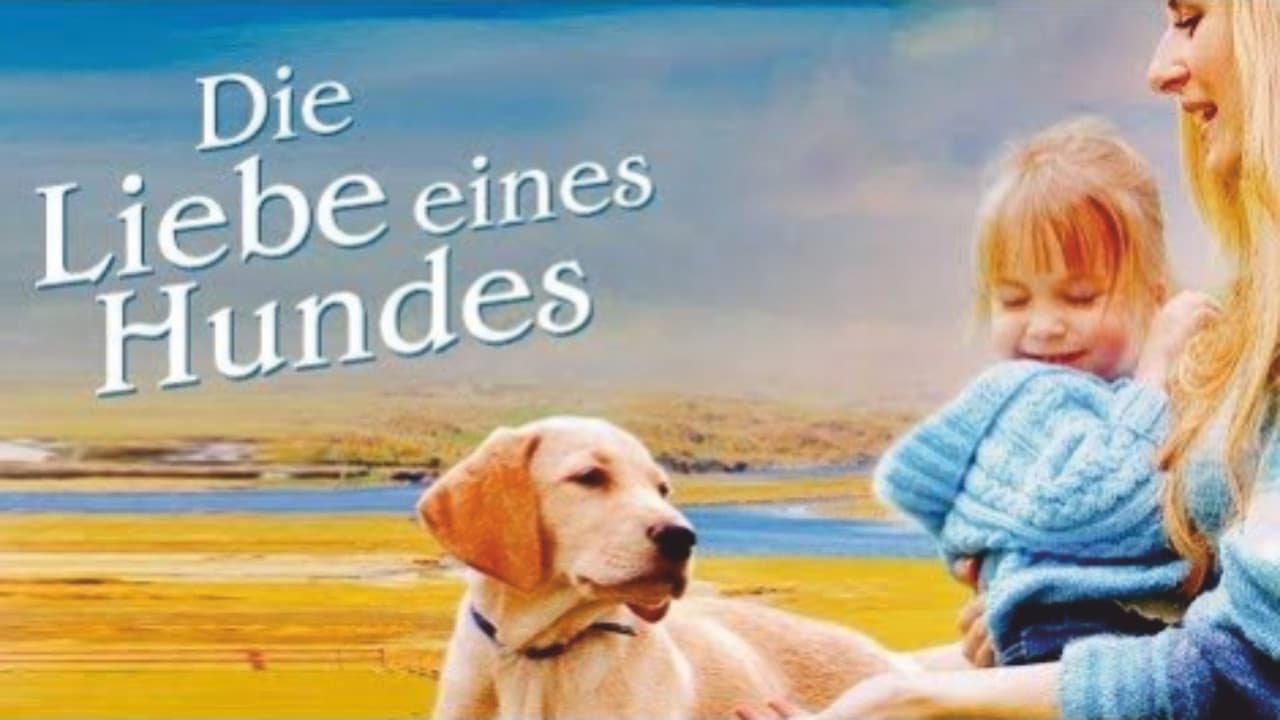 Szene aus Die Liebe eines Hundes