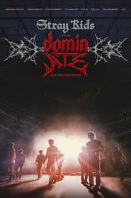 Stray Kids: The dominATE Experience