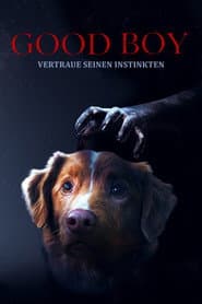 Good Boy - Trust His Instincts