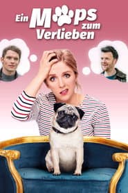 Ein Mops zum Verlieben