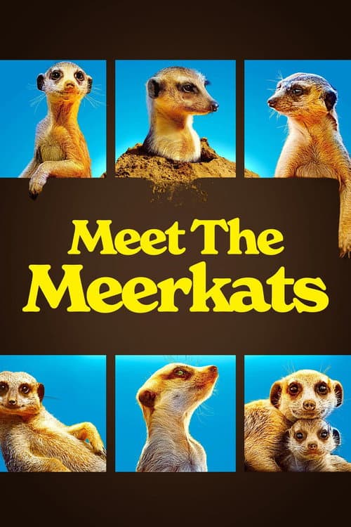 Die Kalahari-Gang
