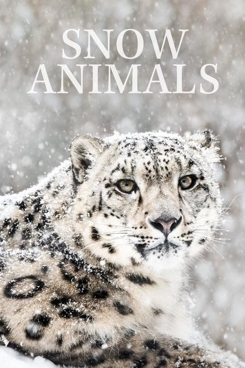 Tiere im ewigen Eis