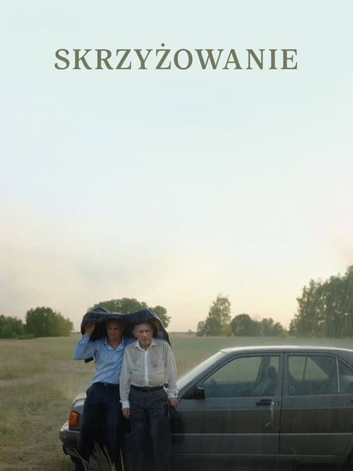 Die Kreuzung