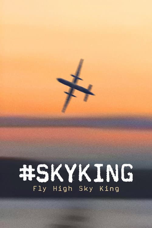 #SKYKING
