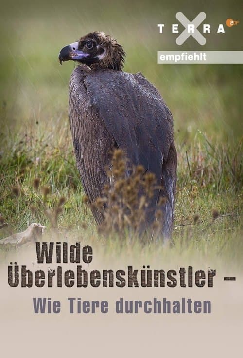 Wilde Überlebenskünstler