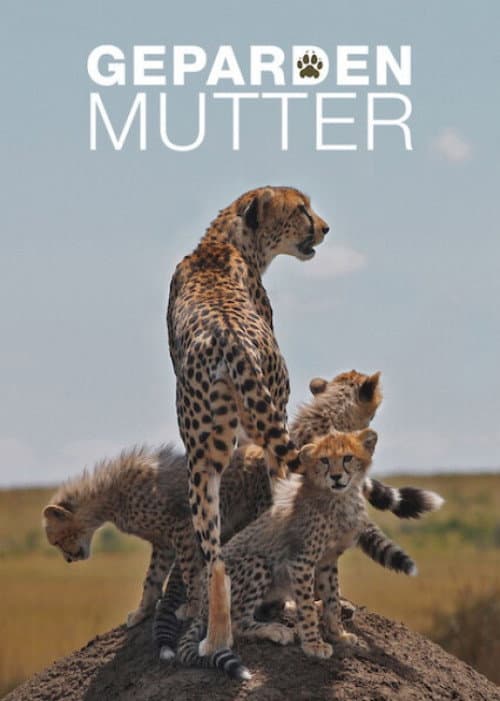 Gepardenmutter