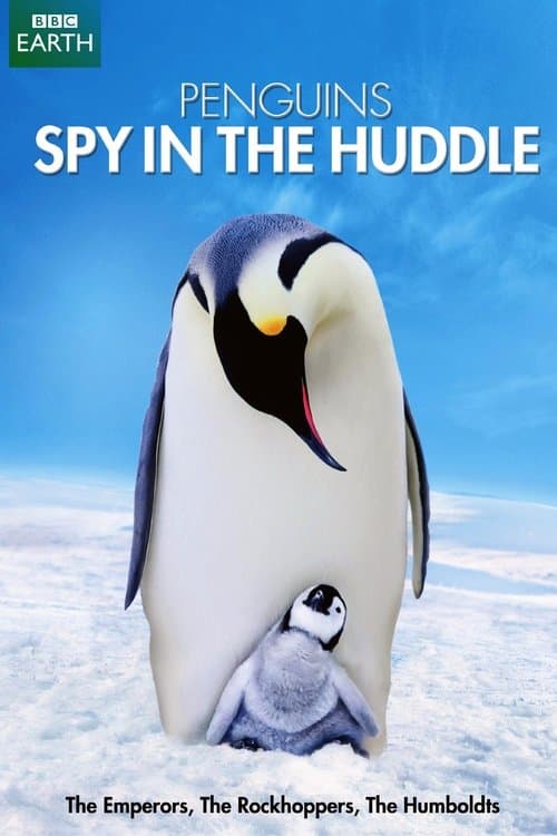 Pinguine hautnah