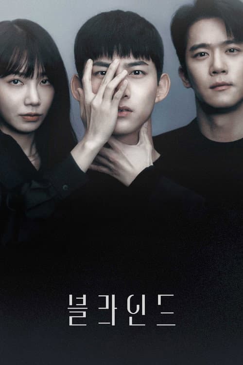 블라인드